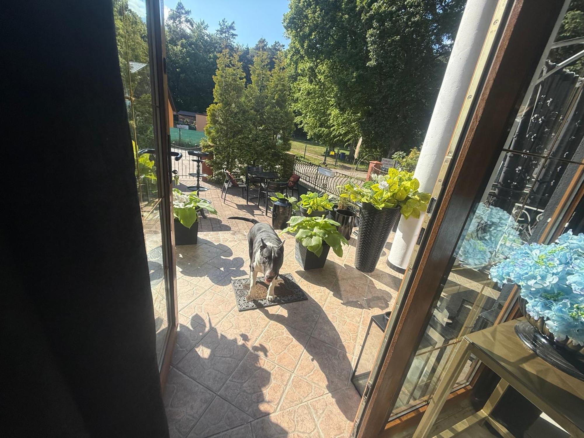 Отель Korab Wiselka & Spa Экстерьер фото